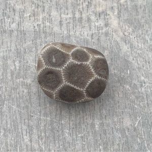 Petoskey stone